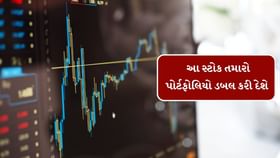 આ સ્ટોક તમારો પોર્ટફોલિયો ડબલ કરી દેશે આ સ્ટોક તમારો પોર્ટફોલિયો ડબલ કરી દેશે