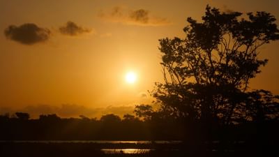 વૈદિક જ્યોતિષના હિસાબે, હાલમાં સૂર્ય દેવ વૃશ્ચિક રાશિમાં પ્રવેશ કરી રહ્યા છે. આ ગ્રહ પરિવર્તન કેટલાક જાતકો માટે ખાસ શુભફળ આપનાર સાબિત થઈ શકે છે. ખાસ કરીને ત્રણ રાશિના લોકો માટે આ સમયગાળો ઉત્કર્ષ અને પ્રગતિનો સંકેત આપશે. તેમના આત્મવિશ્વાસમાં વધારો થશે અને કારકિર્દી તથા આર્થિક ક્ષેત્રોમાં અનુકૂળતા જોવા મળશે. (Credits: - Canva)