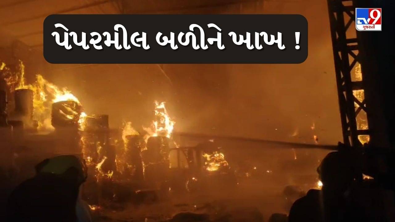 Surat : માંગરોળમાં આવેલી પેપરમીલમાં લાગી ભીષણ આગ, ફાયર વિભાગની 10 ટીમ ઘટનાસ્થળે, જુઓ Video
