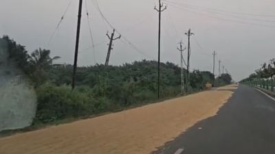 Surat : ઓલપાડના ખેડૂતો મુશ્કેલીમાં ! ખેતરોમાં પાણી ભરાઈ રહેતા ડાંગરનો પાક સ્ટેટ હાઇવે પર સુકવવા મજબૂર, જુઓ Video