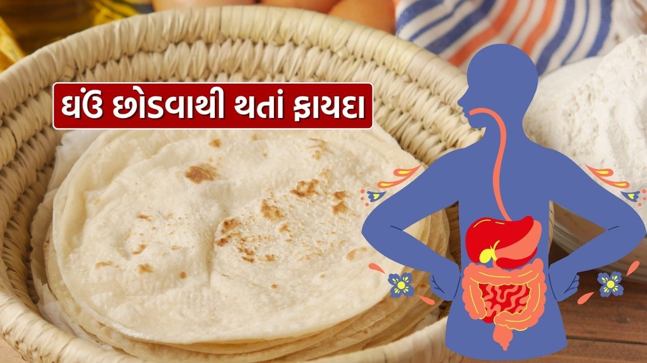 ઘઉંની રોટલી એક સામાન્ય ઘરગથ્થુ ખોરાક છે, અને ઉત્તર ભારતમાં, દરેક વ્યક્તિ ઘઉંની રોટલી પસંદ કરે છે. પરંતુ શું તમે જાણો છો કે ઘઉંમાં ગ્લુટેન હોય છે, અને ભારતમાં ઘણા લોકો ગ્લુટેન ઇન્ટોલરેન્સ હોય છે, એટલે કે તેઓ ગ્લુટેન ધરાવતા ખોરાકને પચાવી શકતા નથી?