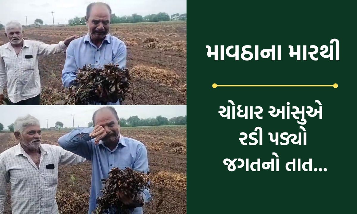 “બાપા અમે મરી ગયા,મારે મજૂરી શેમાંથી દેવી”… માવઠાએ વેરેલા વિનાશથી ચોધાર આંસુએ રડી પડ્યા ખેડૂત- Video