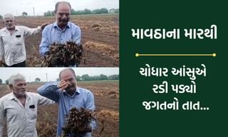 “બાપા અમે મરી ગયા,મારે મજૂરી શેમાંથી દેવી”… માવઠાએ વેરેલા વિનાશથી ચોધાર આંસુએ રડી પડ્યા ખેડૂત- Video