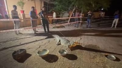 Vadodara : ગાજરાવાડી વિસ્તારમાં 7 ફૂટનો મગર દેખાતા લોકોમાં ભયનો માહોલ, જુઓ Video