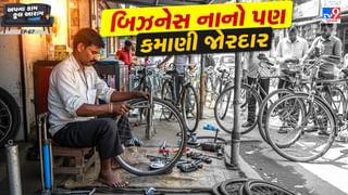 Business Idea : ‘સાયકલ રીપેર’ કરો અને મહિને કમાઓ ₹35,000 ! ધંધો ભલે નાનો પણ આવક મજબૂત