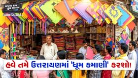 એક સીઝનમાં જ ₹30,000 થી ₹2 લાખ સુધીની કમાણી કરશો એક સીઝનમાં જ ₹30,000 થી ₹2 લાખ સુધીની કમાણી કરશો