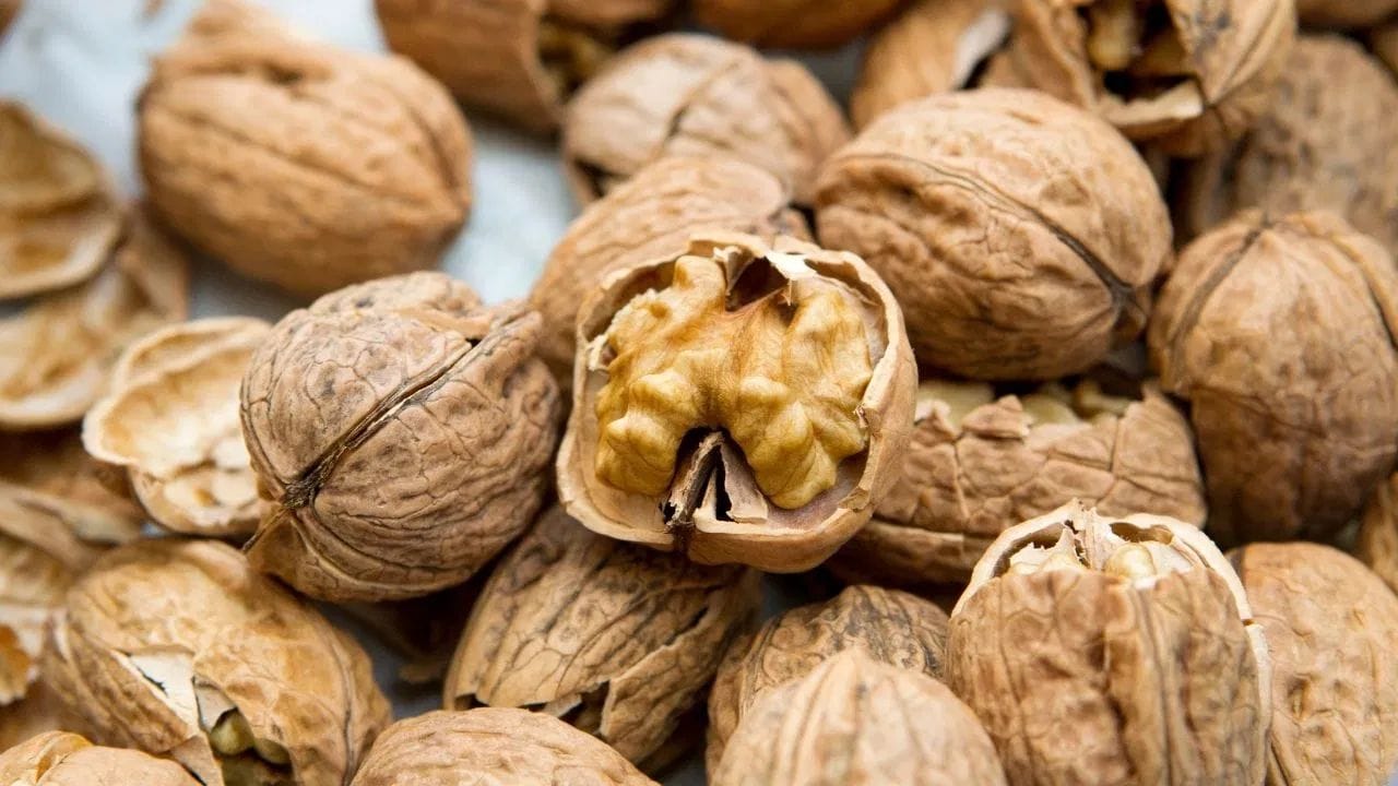 અખરોટ - અખરોટમાં ઓમેગા-3 ફેટી એસિડ, બાયોટિન અને વિટામિન E હોય છે, જે વાળને નરમ, ચમકદાર અને મજબૂત બનાવે છે. તે માથાની ચામડીની બળતરા ઘટાડવામાં મદદ કરે છે અને વાળના ફોલિકલના યોગ્ય કાર્યને પ્રોત્સાહન આપે છે. તમે તેને નાસ્તા તરીકે અથવા દહીંમાં ઉમેરીને સરળતાથી ખાઈ શકો છો.