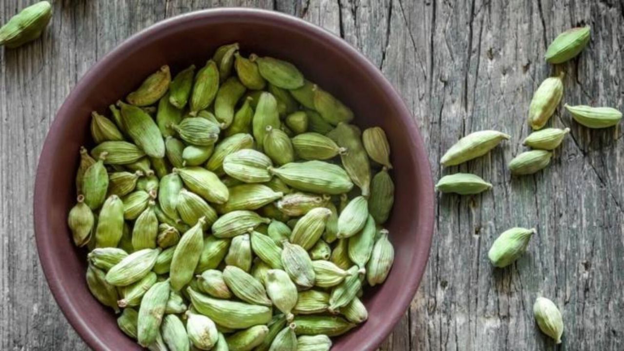 સૂતા પહેલા ફક્ત બે નાની એલચી ખાવાથી તમારા સ્વાસ્થ્ય માટે ખૂબ જ ફાયદાકારક સાબિત થઈ શકે છે. જ્યારે તેની સુગંધ મનને શાંત કરે છે, ત્યારે તેના ઔષધીય ગુણધર્મો શરીરને ઘણી રીતે ફાયદો કરે છે. તે ફક્ત તમારી ઊંઘ સુધારે છે જ નહીં પણ પાચન, શ્વાસની તાજગી અને ત્વચાના સ્વાસ્થ્ય પર પણ સકારાત્મક અસર કરે છે. ચાલો સૂતા પહેલા એલચી ખાવાના ચમત્કારિક ફાયદાઓ જાણીએ.
