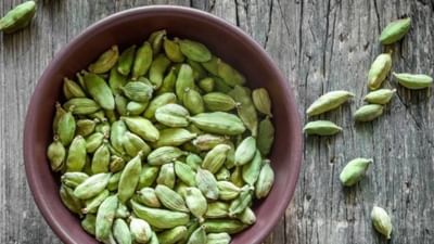 સૂતા પહેલા ફક્ત બે નાની એલચી ખાવાથી તમારા સ્વાસ્થ્ય માટે ખૂબ જ ફાયદાકારક સાબિત થઈ શકે છે. જ્યારે તેની સુગંધ મનને શાંત કરે છે, ત્યારે તેના ઔષધીય ગુણધર્મો શરીરને ઘણી રીતે ફાયદો કરે છે. તે ફક્ત તમારી ઊંઘ સુધારે છે જ નહીં પણ પાચન, શ્વાસની તાજગી અને ત્વચાના સ્વાસ્થ્ય પર પણ સકારાત્મક અસર કરે છે. ચાલો સૂતા પહેલા એલચી ખાવાના ચમત્કારિક ફાયદાઓ જાણીએ.