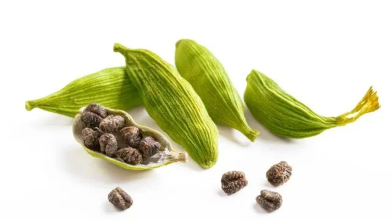 એલચીમાં રહેલા એન્ટિબેક્ટેરિયલ અને એન્ટિઑકિસડન્ટ તત્ત્વ શરીરને બેક્ટેરિયા અને વાયરસથી સુરક્ષિત રાખે છે, ઈમ્યુન સિસ્ટમ મજબૂત બનાવે છે અને રોગથી લડવાની શક્તિ વધારે છે.