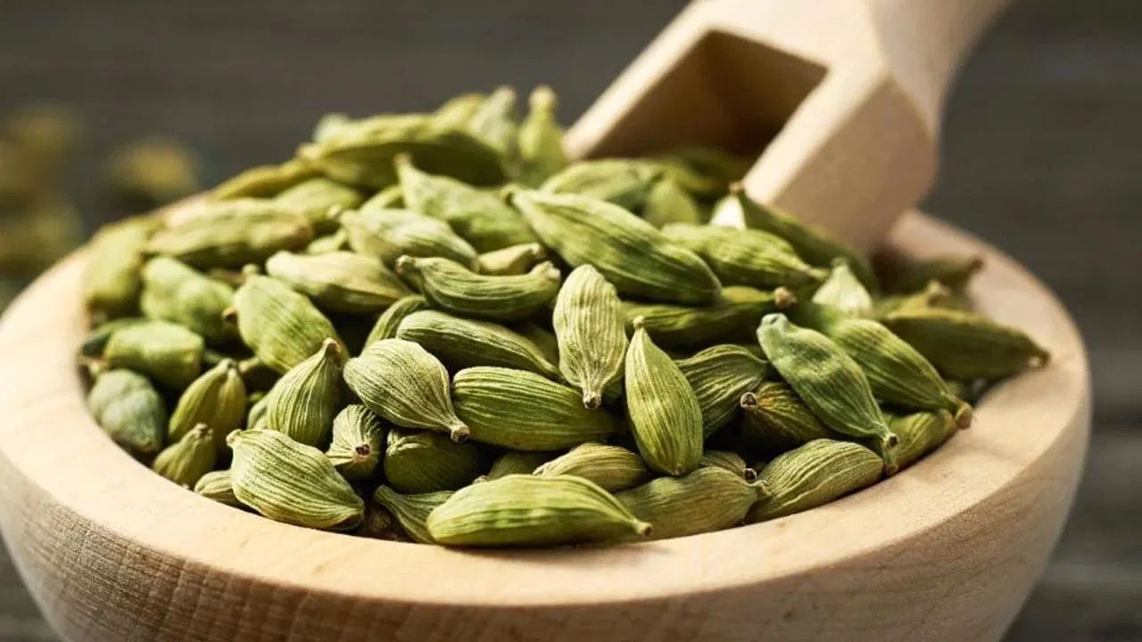 ત્વચા અને વાળ માટે ફાયદા: એલચી શરીરને ડિટોક્સિફાય કરવામાં મદદ કરે છે, ત્વચાને સ્વચ્છ અને ચમકદાર બનાવે છે, અને તેના એન્ટીઑકિસડન્ટ વાળને મજબૂત બનાવવામાં પણ મદદ કરે છે.