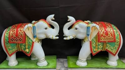 વાસ્તુ શાસ્ત્રમાં દરેક વસ્તુ અને તેની દિશાને વિશેષ મહત્વ આપવામાં આવ્યું છે. ઘરના દરેક ખૂણામાં રાખેલી વસ્તુઓ આપણા જીવન, સંબંધો અને ભાગ્ય પર અસર કરે છે. એવી ઘણી વસ્તુઓ પણ છે જે ઘરમાં વાસ્તુ દોષ દૂર કરે છે. આવી જ એક વસ્તુ છે હાથીની મૂર્તિ. ચાલો વાસ્તુ અનુસાર આ મૂર્તિની દિશા અને સ્થાન વિશે જાણીએ.