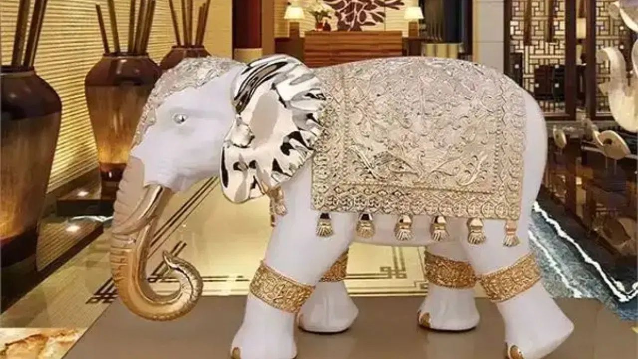 તમે તમારા ઘરના દક્ષિણપૂર્વ ખૂણામાં હાથીની મૂર્તિ પણ મૂકી શકો છો. આ તે દિશા છે જે સંપત્તિ અને સમૃદ્ધિનું સંચાલન કરે છે. આ વિસ્તારમાં મૂકવામાં આવેલી હાથીની મૂર્તિ નાણાકીય સ્થિરતાને પ્રોત્સાહન આપી શકે છે અને તમારા જીવનમાં ઘણી તકો આકર્ષિત કરી શકે છે. જો કે, ધ્યાનમાં રાખો કે તમારે આ દિશામાં ખૂબ મોટી હાથીની મૂર્તિ ન મૂકવી જોઈએ, કારણ કે આ તમારા ઘરનું સંતુલન બગાડી શકે છે. તમે વાયવ્ય ખૂણામાં હાથીની મૂર્તિ પણ મૂકી શકો છો.