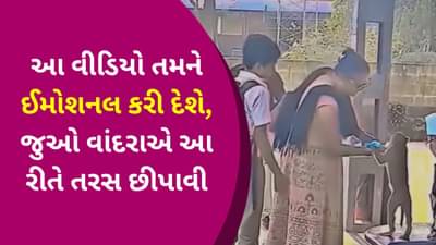 મા તો મા હોય છે! મહિલાએ કપિરાજને બોટલ વડે નાના બાળકની જેમ પીવડાવ્યું પાણી, લોકોએ કહ્યું-હજી કળિયુગ નથી આવ્યો