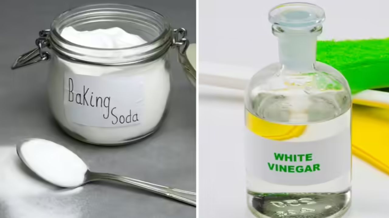 આ બાદ એક ટબમાં પાણી ભરો, તેમાં ડિટર્જન્ટ, બેકિંગ સોડા અને વિનેગર ઉમેરો અને સારી રીતે મિક્સ કરો. પંખાના ઉપરના કવરમાં સૌથી વધુ ગ્રીસ એકઠું થાય છે. જો તમારી પાસે સમય હોય, તો આ જાળી જેવા ભાગને તૈયાર કરેલા દ્રાવણમાં પલાળી દો. 