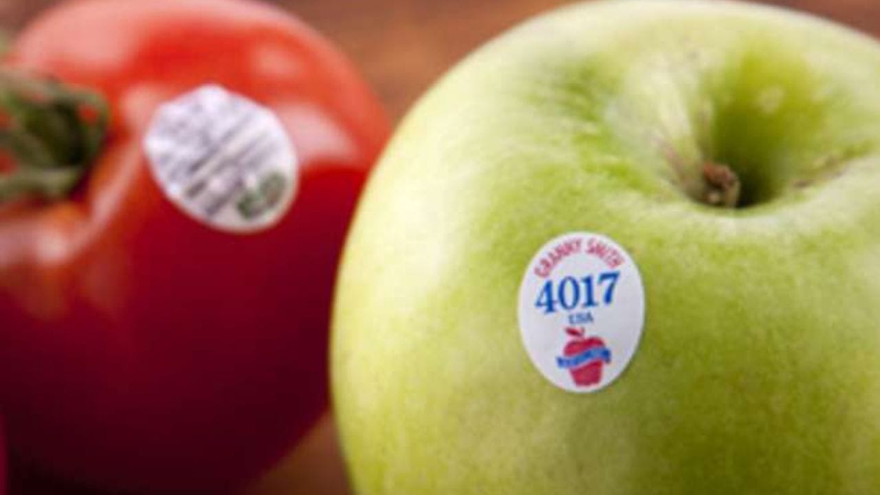 ફળ ખરીદતી વખતે, તમે ઘણીવાર નાના સ્ટીકરો જોયા હશે તેના પર ખાસ પ્રકારના કોડ હોય છે. આ નાના સ્ટીકરો ફક્ત બ્રાન્ડિંગ અથવા સજાવટ માટે નથી. આ સ્ટીકરોમાં PLU કોડ નામનો એક ખાસ કોડ હોય છે. 