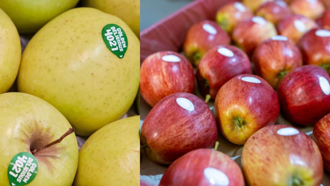 આ કોડ તમને ફળની ગુણવત્તા ઓળખવામાં મદદ કરી શકે છે. ઉચ્ચ ગુણવત્તાવાળા ફળ ખાવાથી સારા સ્વાસ્થ્ય સાથે જોડાણ છે. તો, ચાલો જાણીએ કે ફળો પરના કોડનો અર્થ શું છે.