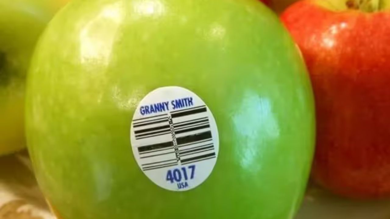 ફળ ઓર્ગેનિક હોય કે પ્રોસેસ્ડ, તેના પરના રહેલા બેક્ટેરિયાને દૂર કરવા માટે તેને ખાતા પહેલા તેને સારી રીતે ધોવા ખૂબ જ મહત્વપૂર્ણ છે. ઉપરાંત, મોસમી ફળ ખરીદવાનો પ્રયાસ કરો કારણ કે તે તાજા હોય છે. ( all photos credit: social media and google)