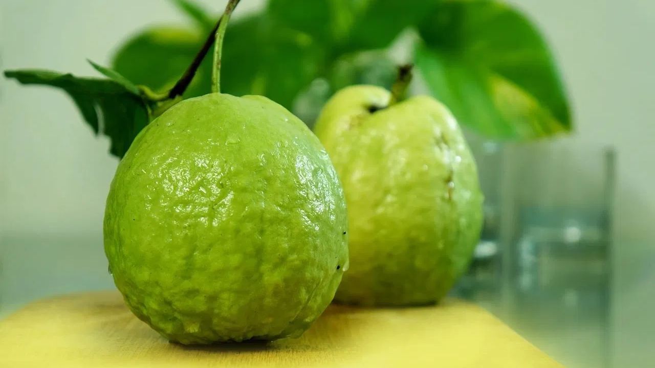 ઑપરેશન પછી તરત જ જામફળ ખાવાની ભલામણ કરવામાં આવતી નથી કારણ કે તે રક્તસ્રાવનું જોખમ વધારી શકે છે અને ઘા રૂઝાઈ શકતા નથી, ખાસ કરીને જો તમે ચોક્કસ દવાઓ લઈ રહ્યા છો.