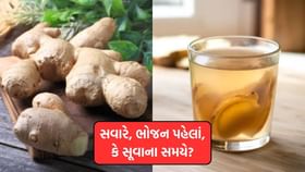 સવારે, ભોજન પહેલાં, કે સૂવાના સમયે? આદુનું પાણી પીવાનો યોગ્ય સમય જાણો સવારે, ભોજન પહેલાં, કે સૂવાના સમયે? આદુનું પાણી પીવાનો યોગ્ય સમય જાણો