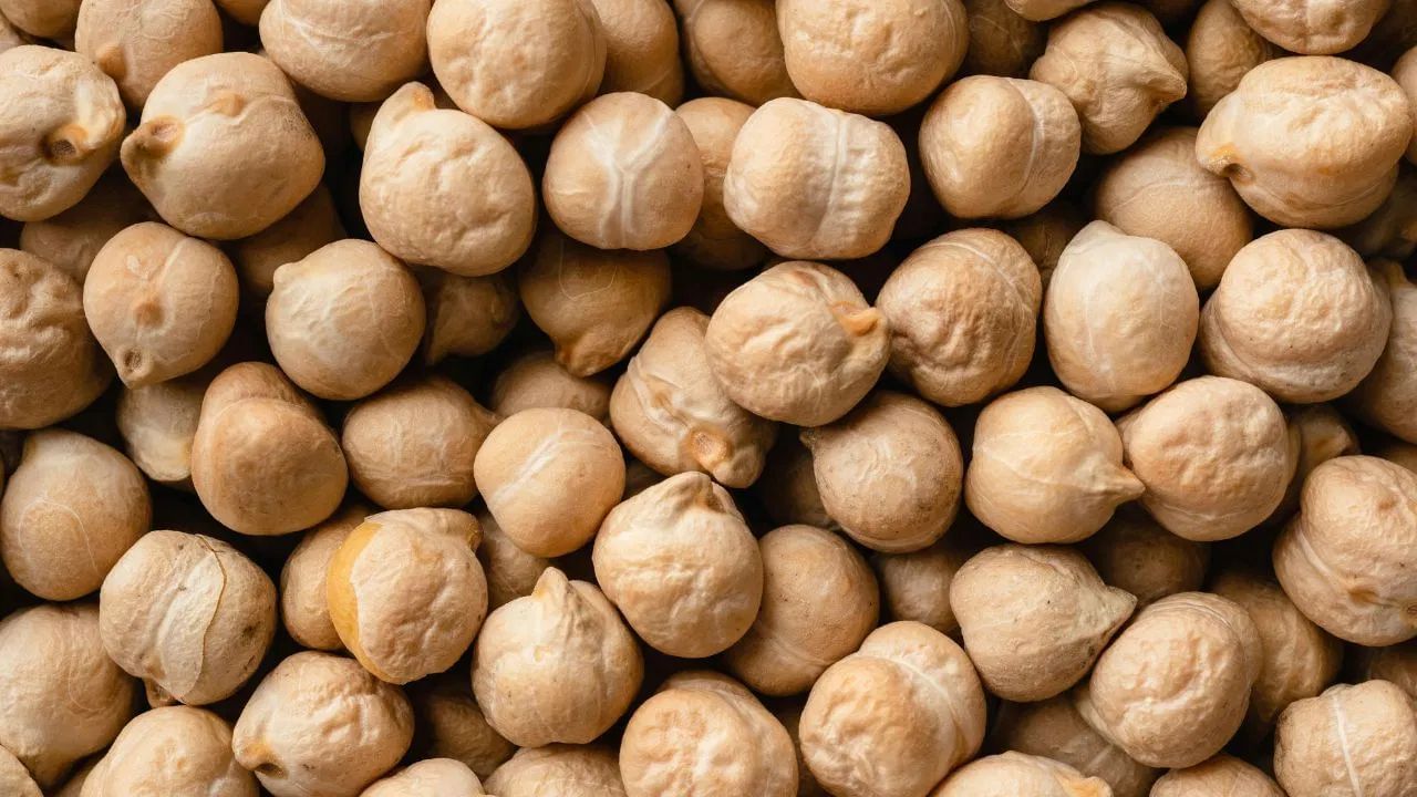 પ્રોટીનથી ભરપૂર ચણા - પોષક તત્વોનો ભંડાર છે. તે પ્રોટીનથી ભરપૂર હોય છે. તે ડાયેટરી ફાઇબર, આયર્ન, મેગ્નેશિયમ, પોટેશિયમ અને ઝીંક જેવા પોષક તત્વોનો ઉત્તમ સ્ત્રોત પણ છે. ચણામાં બી વિટામિન અને સ્વસ્થ અસંતૃપ્ત ફેટી એસિડ પણ હોય છે, જે તેમને શરીર માટે ખૂબ ફાયદાકારક બનાવે છે. પ્રોટીન સામગ્રીને કારણે, ચણા લાંબા સમય સુધી પેટ ભરેલું રાખે છે, જે વારંવાર ખાવાની ઇચ્છાને રોકવામાં મદદ કરી શકે છે. ચણા બ્લડ સુગરને નિયંત્રિત કરવાથી લઈને પાચન સુધારવા સુધી દરેક બાબતમાં ફાયદાકારક છે.