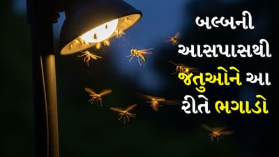 તમે પ્રકાશ મેળવવા માટે બલ્બ ચાલુ કરો છો અને થોડીવારમાં જંતુઓ તેની આસપાસ ફરવા લાગે છે જે ખૂબ જ હેરાન કરે છે. વાસ્તવમાં કેટલાક જંતુઓ તેજસ્વી પ્રકાશ તરફ સકારાત્મક રીતે ફોટોટેક્ટિક (પ્રકાશ તરફ આગળ વધતા જીવો) હોય છે અને આ કારણે જ્યારે અંધારામાં કોઈપણ જગ્યાએથી તેજસ્વી પ્રકાશ આવતો હોય છે, ત્યારે તેઓ તેના તરફ આકર્ષાય છે.
