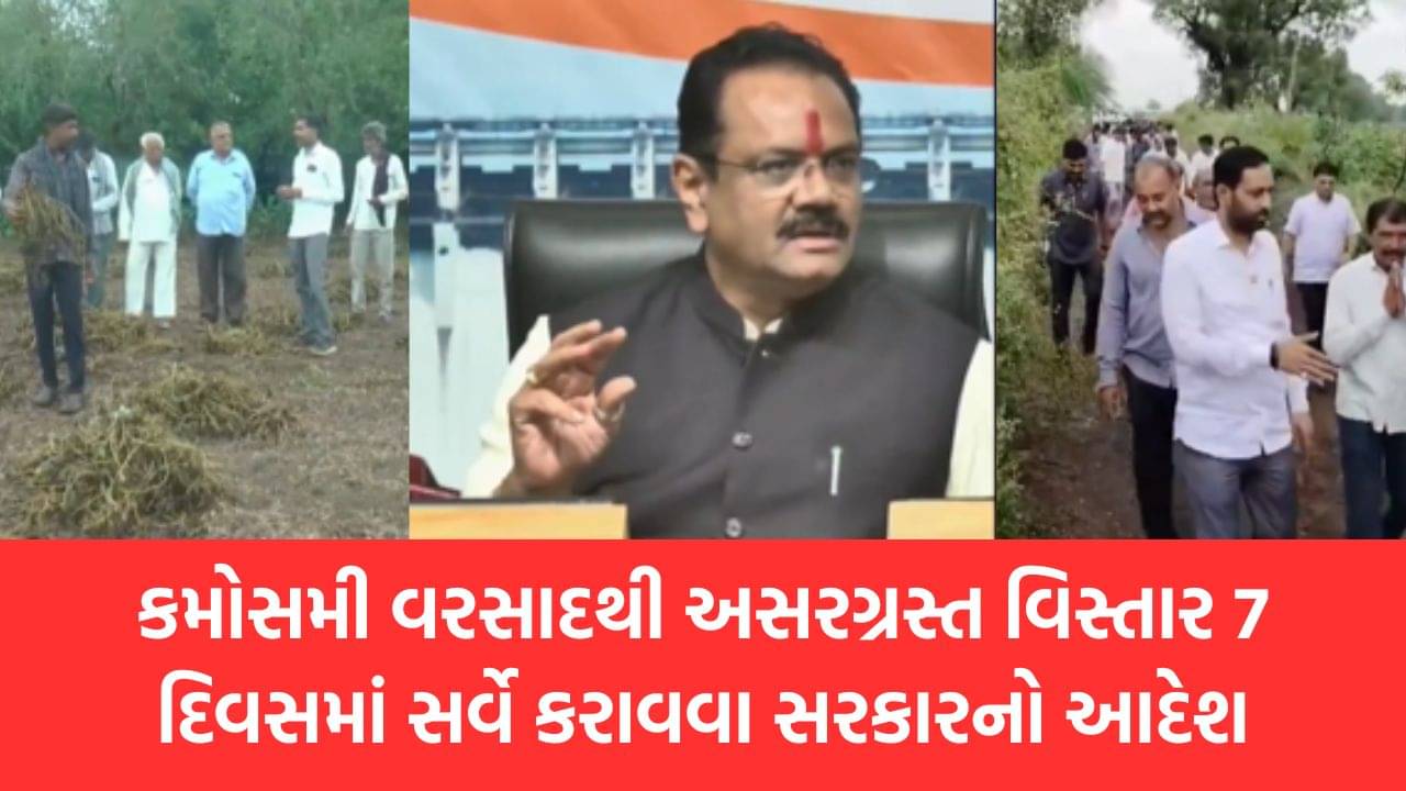 માવઠાથી અસર પામેલા 33 જિલ્લાના 239 તાલુકામાં ખેતી ક્ષેત્રે થયેલા નુકસાન અંગે 7 દિવસમાં સર્વે કરાવવા સરકારનો આદેશ, જુઓ Video