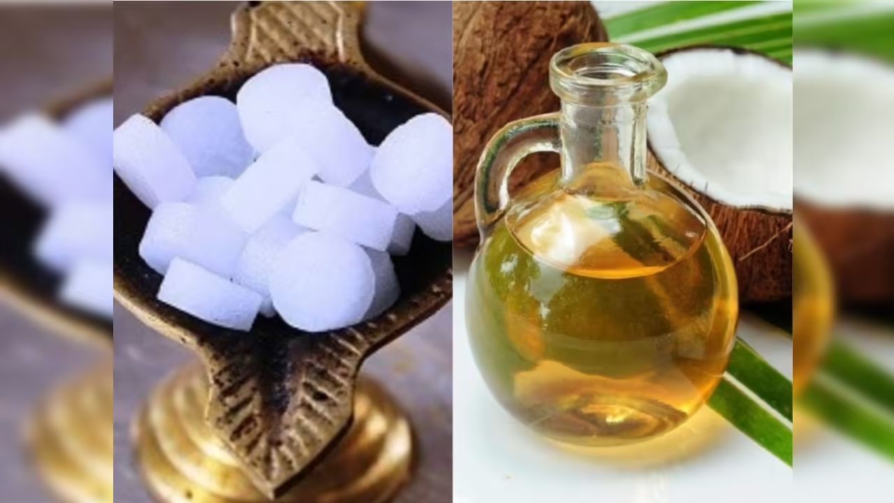 કપૂર તેલ: આ તેલથી માલિશ કરવાથી પણ ઘૂંટણના દુખાવામાં રાહત મળે છે. તેને લગાવ્યા પછી, એક ચમચી કપૂર તેલ અને એક ચમચી નારિયેળ તેલ મિક્સ કરીને તેને સારી રીતે ગરમ કરો. તેલ ઠંડુ થઈ જાય પછી, દિવસમાં બે વાર આ તેલથી ઘૂંટણ પર માલિશ કરો. તે ઘૂંટણના આંતરિક દુખાવામાં પણ રાહત આપે છે.