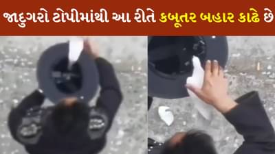 જાદુગરો ટોપીમાંથી કેવી રીતે કાઢે છે કબૂતર, આ Video થી જાણો આખી ટ્રિક્સ