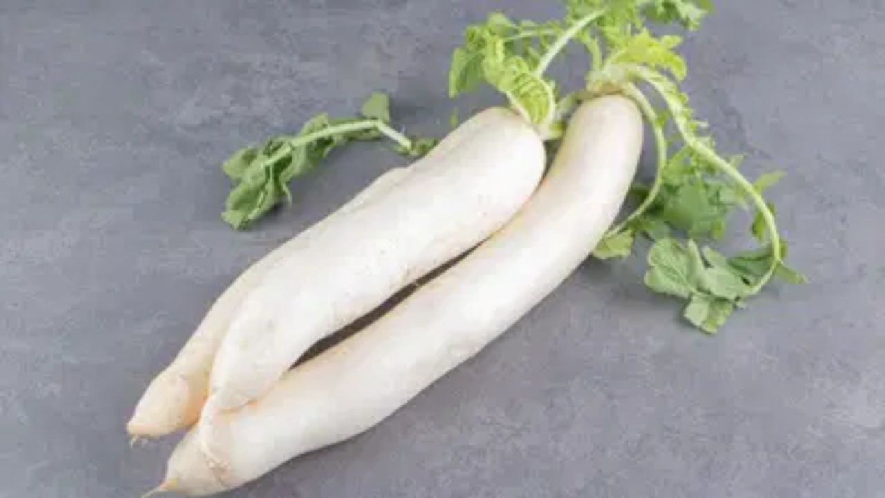 अगर आपको सर्दियों में सर्दी-ज़ुकाम, खांसी और सिरदर्द की समस्या है, तो कच्ची मूली खाने से बचें। खासकर रात में कच्ची मूली खाने से बचें, क्योंकि इससे स्थिति और बिगड़ सकती है। माइग्रेन से पीड़ित लोगों को भी मूली खाने से बचना चाहिए।