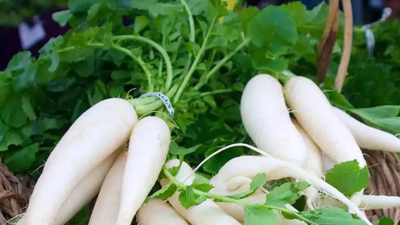 आयुर्वेद विशेषज्ञ किरण गुप्ता का कहना है कि अस्थमा से पीड़ित लोगों को मूली खाने से बचना चाहिए, क्योंकि सर्दियों में तापमान गिर जाता है और ठंडे खाद्य पदार्थ इसे बढ़ा सकते हैं।