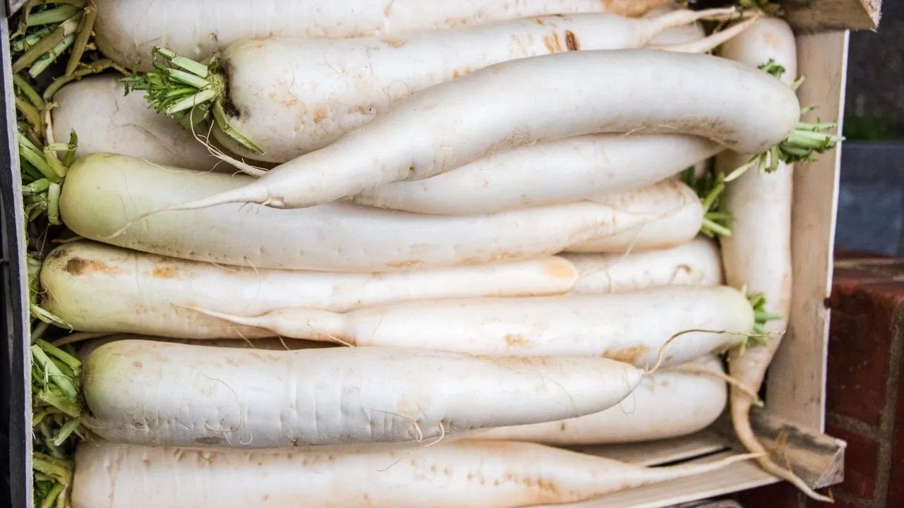 मूली में गोइट्रोजन नामक तत्व होता है, जो थायरॉइड ग्रंथि को प्रभावित कर सकता है। इसलिए, थायरॉइड की समस्या (हाइपोथायरायडिज्म) वाले लोगों को मूली, खासकर कच्ची मूली खाने से बचना चाहिए।