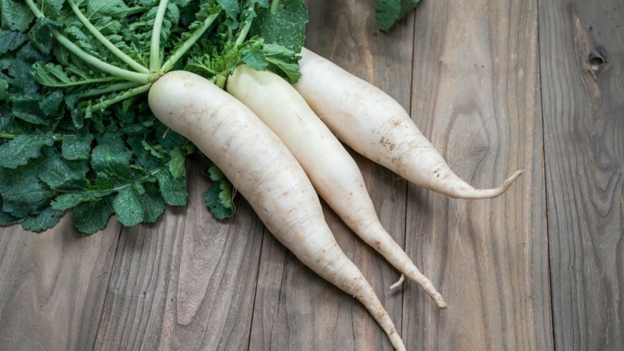 मूली एक ऐसी सब्ज़ी है जो सर्दियों में ज़्यादातर लोग खाते हैं। इसके फ़ायदे अनगिनत हैं, लेकिन इन लोगों को मूली खाने से बचना चाहिए। आइए डाइटीशियन मोहिनी डोंगरे से इस बारे में और जानें।