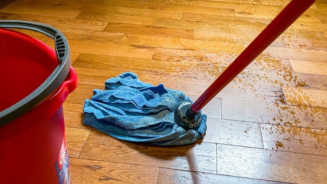 વાસ્તુ શાસ્ત્ર અનુસાર, ક્યારેય ફાટેલા કે જૂના કપડાંથી પોતુ ના મારવું જોઈએ. કારણ કે તે વ્યક્તિની ઉર્જા આ કપડાંમાં રહે છે, તે નકારાત્મક ઉર્જામાં પરિવર્તિત થાય છે, જેનાથી વ્યક્તિને ભારે નુકસાન થાય છે. ધાર્મિક માન્યતાઓ અનુસાર, આમ કરવું ઘરમાં અશાંતિ અને ઘરેલું વિખવાદ લાવે છે. આવા કિસ્સાઓમાં, પહેરેલા કપડાંનું દાન કરવું જોઈએ.