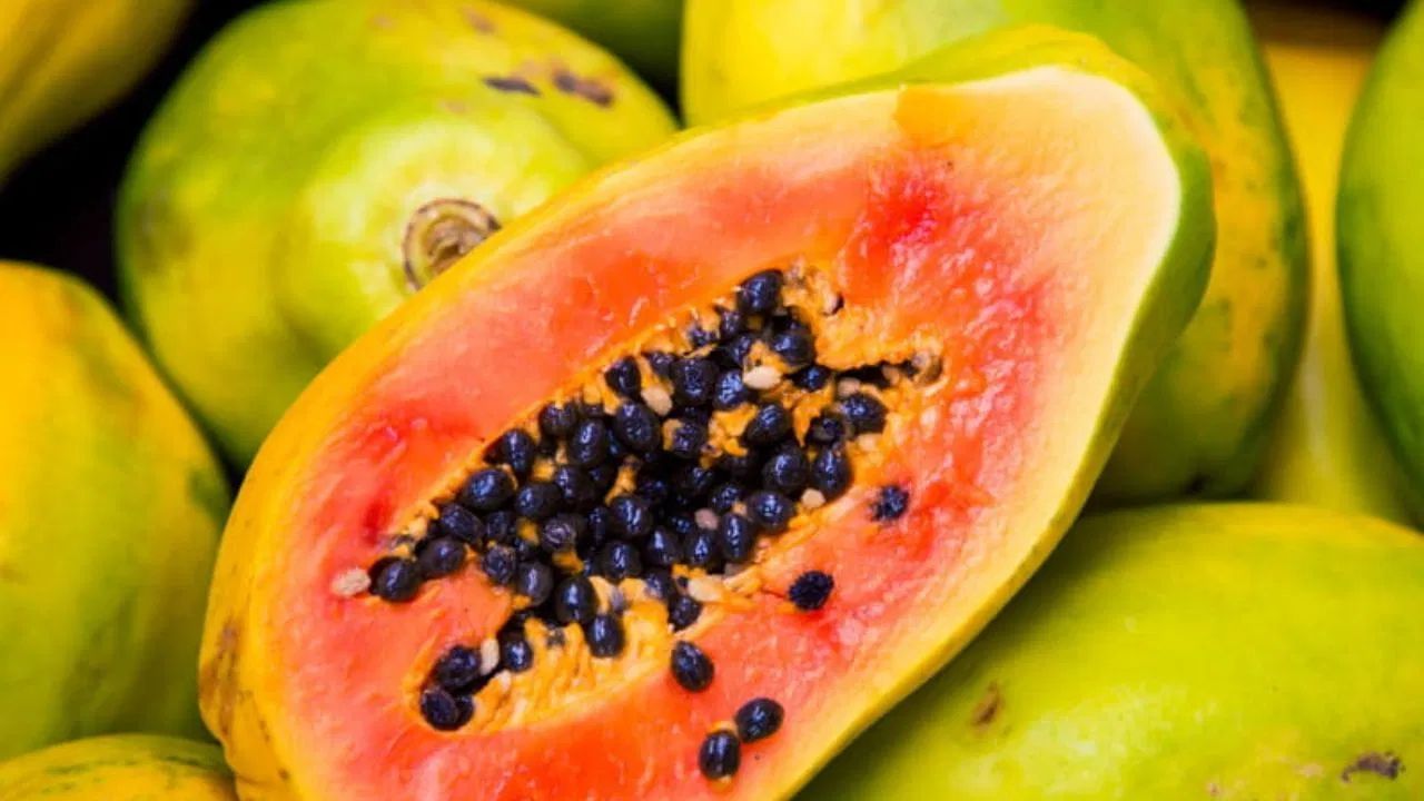 પપૈયા એક ઉષ્ણકટિબંધીય ફળ છે જેમાં પપેન નામનું એન્ઝાઇમ હોય છે. આ એન્ઝાઇમ પાચનને ઝડપી બનાવે છે અને આંતરડામાં ગેસ બનતા અટકાવે છે. પપૈયા ખાધા પછી 20-25 મિનિટની અંદર, પેટ હળવું થવા લાગે છે. સવારે અથવા ભોજન પછી તેને ખાઓ.