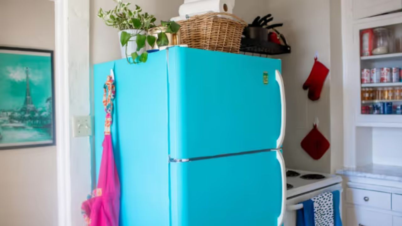 પ્લાસ્ટિકની વસ્તુઓ અથવા રમકડા: લોકો ફ્રિજની ઉપરનો ભાગ સુંદર દેખાય તે માટે સાજ-સજાવટની વસ્તુઓ મુકે છે જેમાં કેટલાક લોકો ગ્લાસ અને ચમચી મુકવાનું પ્લાસ્ટિકનું સ્ટેન્ડ રાખે તો કેટલાક લોકો પ્લાસ્ટિકના રમકડા તેના પર મુકે છે આમ કરવું પણ યોગ્ય નથી. 