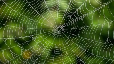 વાસ્તુ અનુસાર, ઘરની સકારાત્મકતા વધારવા માટે સ્વચ્છતા પર ખાસ ધ્યાન આપવું જોઈએ. જોકે, સંપૂર્ણ સફાઈ કરવા છતાં, આપણે ઘણીવાર છત અને ખૂણા પરની તિરાડોને અવગણીએ છીએ, જેના કારણે ઘરમાં વાસ્તુ દોષો થઈ શકે છે. એવું કહેવાય છે કે ઘરમાં વધુ પડતા કરોળિયાના જાળા પરિવારના સભ્યોને જીવનમાં ઘણી મુશ્કેલીઓનો સામનો કરી શકે છે. ઘરમાં સતત પૈસાની અછત, કામમાં અવરોધો અને પરિવારના સભ્યોમાં આળસ, ચીડિયાપણું અને નકારાત્મકતા રહી શકે છે. ચાલો ઘરમાં કરોળિયાના જાળાની અસરો વિશે વિગતવાર જાણીએ.