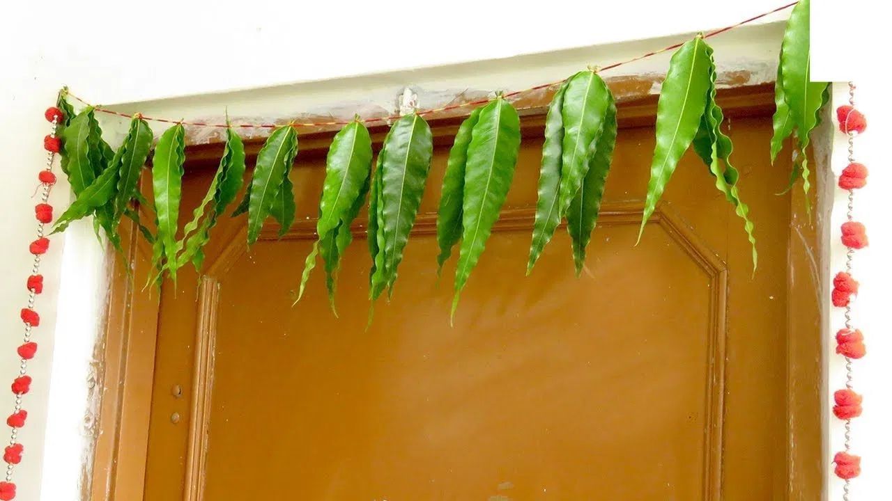 માન્યતાઓ અનુસાર, તમારે દિવાળીના દિવસે આંબાના પાન, અશોકના પાન અથવા ગલગોટાના ફૂલોની માળા બનાવવી જોઈએ. ખાતરી કરો કે, આ ફૂલો અને પાંદડાઓની સંખ્યા વિષમ (Odd Number) હોય. વધુમાં, તમારે આ દિવસે ઘર અથવા ઓફિસના અગ્નિ ખૂણામાં દીવો પ્રગટાવવો જોઈએ. આનાથી લક્ષ્મી માતા પ્રસન્ન થાય છે અને તમારા ઘર તેમજ જીવનમાં સુખ-સમૃદ્ધિ આવવા લાગે છે.