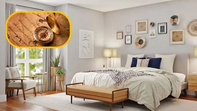 એવું કહેવાય છે કે, જીવનમાં બધું તમારા કર્મો અનુસાર થાય છે. જો કે, આ સિવાય વાસ્તુ પણ આપણા જીવનમાં મહત્ત્વપૂર્ણ ભૂમિકા ભજવે છે. એવું માનવામાં આવે છે કે, જો વાસ્તુના કેટલાક સિદ્ધાંતોને યોગ્ય રીતે સમજવામાં આવે અને જીવનમાં લાગુ કરવામાં આવે તો જીવનમાં સુખ સમૃદ્ધિ આવવા લાગે છે.