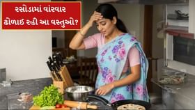 રસોડાની આ 5 વસ્તુઓનું ઢોળાવવું આપે છે શુભ અને અશુભ બન્ને સંકેત, જાણો રસોડાની આ 5 વસ્તુઓનું ઢોળાવવું આપે છે શુભ અને અશુભ બન્ને સંકેત, જાણો