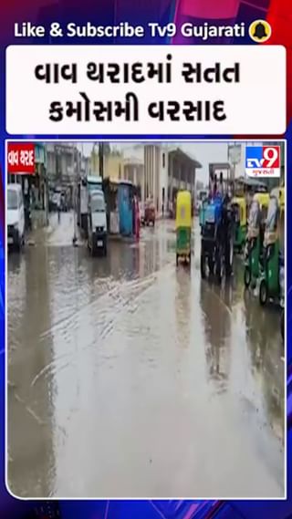 વાવ-થરાદમાં કમોસમી વરસાદથી હાલાકી