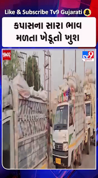 જામનગર APMCમાં ફસલની ભારે આવક, કપાસ-મગફળીના ભાવથી ખેડૂતો ખુશ