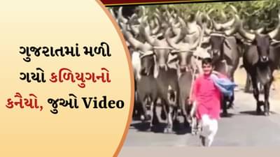 Heart touch video: કળિયુગનો કનૈયો દિલ જીતનારો! જેના એક અવાજથી ચાલે છે ગાયોનું આખું ધણ, જુઓ મનમોહક વીડિયો