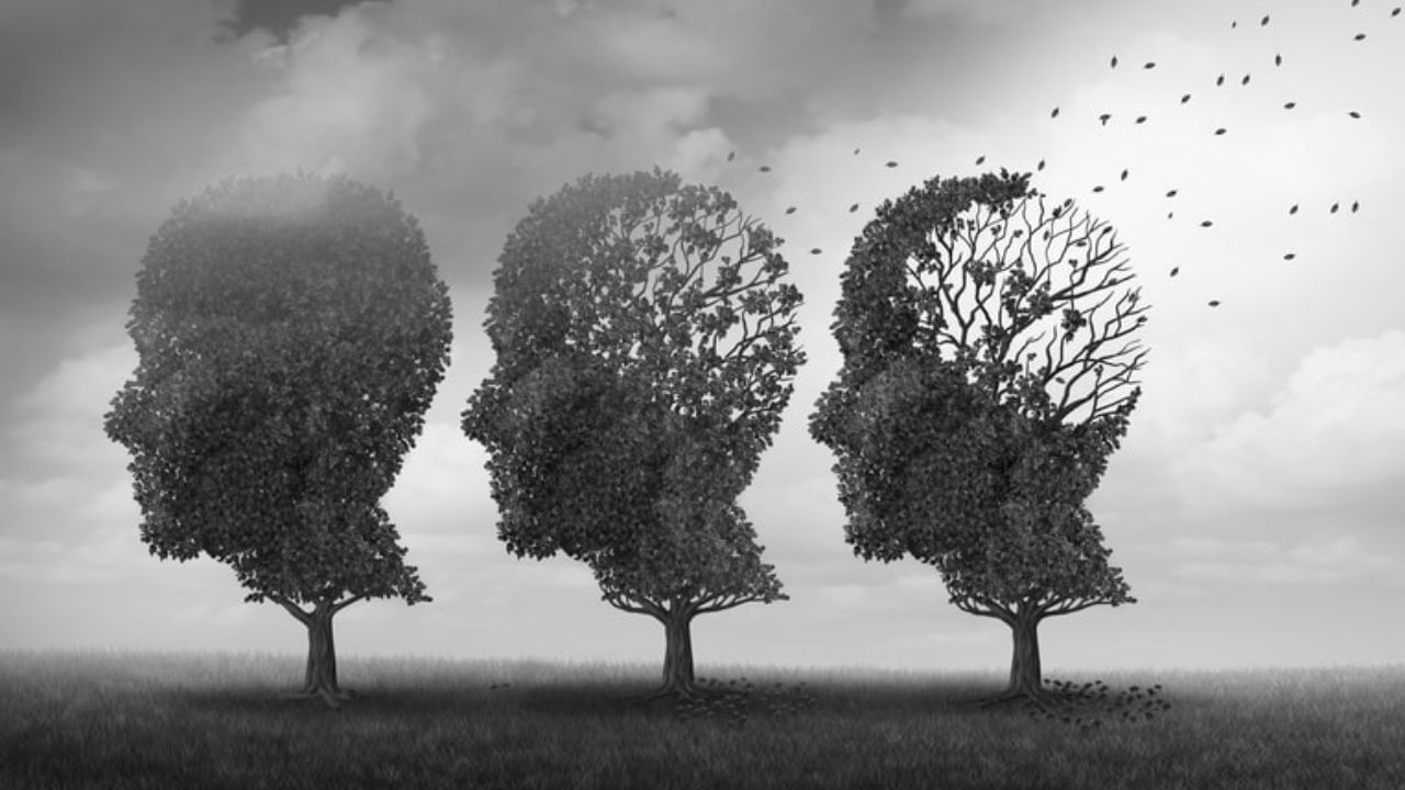 તેને કેવી રીતે અટકાવવું: પર્યાપ્ત અને ગાઢ ઊંઘ લો અને દરરોજ એક જ સમયે સૂઈ જાઓ. તમારા મનને એક્ટિવ રાખવા માટે, વાંચન, કોયડાઓ અને નવી વસ્તુઓ શીખવાની ટેવ પાડો.
તણાવ ઓછો કરવા માટે, યોગ, ધ્યાન અથવા ચાલવાનો સમાવેશ તમારા રોજિંદા જીવનમાં કરો. ઓમેગા-3, વિટામિન B12 અને એન્ટીઑકિસડન્ટોથી ભરપૂર ખોરાક લો. જંક ફૂડ, આલ્કોહોલ અને ધૂમ્રપાનથી દૂર રહો. વધુ પડતો સ્ક્રીન ટાઈમ ટાળો અને તમારા મનને નિયમિત આરામ આપો. જો તમને કોઈ લક્ષણોનો અનુભવ થાય તો તાત્કાલિક ડૉક્ટરની સલાહ લો.