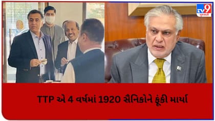 TTP એ 4 વર્ષમાં પાકિસ્તાનના 1920 સૈનિકોને ફૂંકી માર્યા