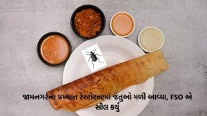 જામનગરની જાણીતી રેસ્ટોરન્ટના ઢોસામાં જીવાત મળી, ગ્રાહકની ફરિયાદ બાદ રેસ્ટોરન્ટ સીલ કરાયું, જુઓ Video