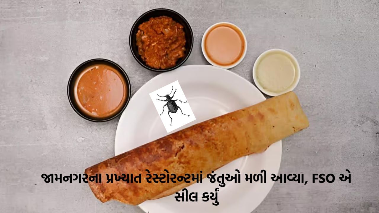 જામનગરની જાણીતી રેસ્ટોરન્ટના ઢોસામાં જીવાત મળી, ગ્રાહકની ફરિયાદ બાદ રેસ્ટોરન્ટ સીલ કરાયું, જુઓ Video