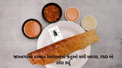 જામનગરની જાણીતી રેસ્ટોરન્ટના ઢોસામાં જીવાત મળી, ગ્રાહકની ફરિયાદ બાદ રેસ્ટોરન્ટ સીલ કરાયું, જુઓ Video