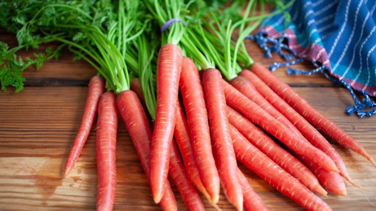 ગાજર બીટા-કેરોટીન અને એન્ટીઑકિસડન્ટોથી ભરપૂર હોય છે. તે શરીરમાંથી યુરિક એસિડને સંતુલિત કરવામાં અને તેને દૂર કરવામાં ઉપયોગી છે. ગાજરમાં રહેલા આલ્કલાઇન સંયોજનો શરીરના એસિડ-બેઝ સંતુલન જાળવવામાં મદદ કરે છે, જે યુરિક એસિડ ઘટાડવા માટે જરૂરી છે.