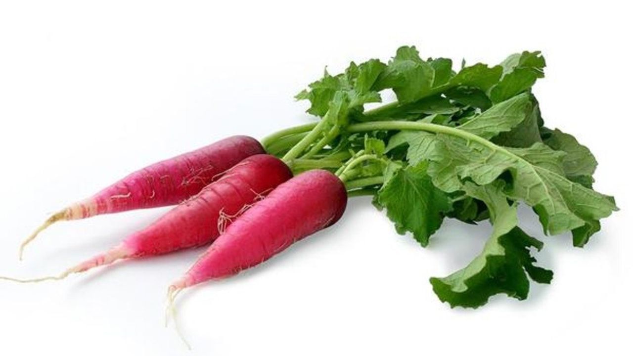 મૂળામાં ફાઇબર અને પાણીનું પ્રમાણ વધુ હોય છે. તેનું સેવન કરવાથી યુરિક એસિડના સ્તરને નિયંત્રિત કરવામાં મદદ મળે છે. મૂળામાં વિટામિન B6, ફોલેટ અને વિટામિન C હોય છે. તે માત્ર યુરિક એસિડના સ્તરને નિયંત્રિત કરવામાં મદદ કરે છે, પરંતુ સાંધાના દુખાવા અને બળતરાને પણ નિયંત્રિત કરવામાં મદદ કરે છે.